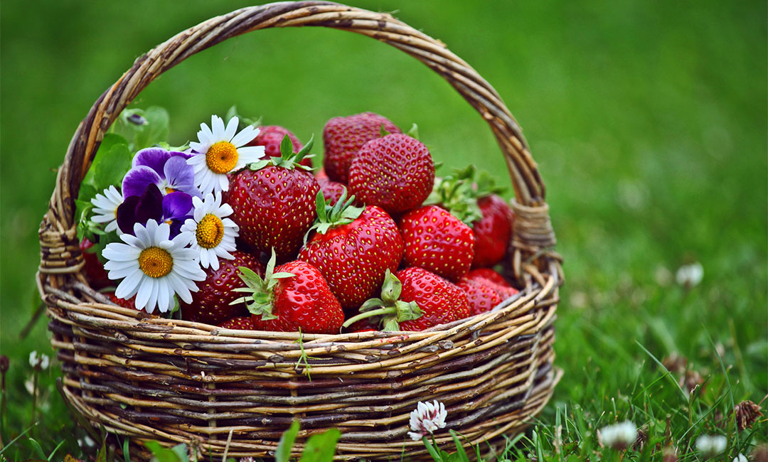 赣州点呀点水果电商APP开发案例